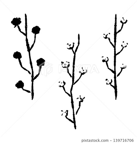 棉花枝和漿果單色插圖套裝，植物裝飾素材，透明背景。 139716706