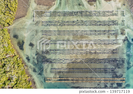 Aerial view of an oyster lease in the clear shallow waters of Wallis Lake in Forster NSW Australia. Drone photograph captures oyster farming infrastructure, transparent waterways and natural estuary 139717119