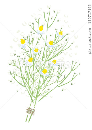 Flower, Pink, Vector 139717163