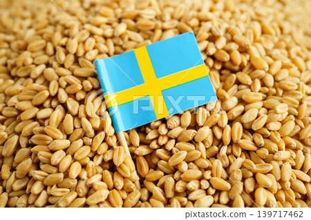 Sweden flag on grain wheat, trade export and economy concept. Sweden flag on grain wheat, trade export and economy concept. 139717462