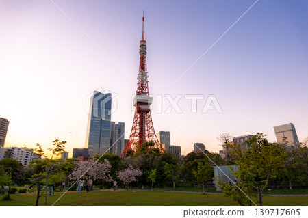 Cherry blossoms in bloom in Shiba Park, Minato Ward, Tokyo, with Tokyo Tower and Azabudai Hills at dusk. 139717605