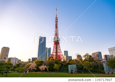 黃昏時分,東京港區芝公園的櫻花盛開,東京鐵塔和麻布台山也映入眼簾。 黃昏時分,東京港區芝公園的櫻花盛開,東京鐵塔和麻布台山也映入眼簾。 139717607