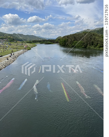 Underwater carp streamer 139717616