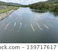 鯉魚旗在河中游弋 139717617