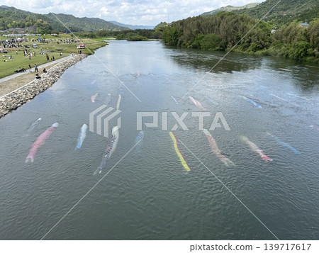 Carp streamer swimming in the river 139717617