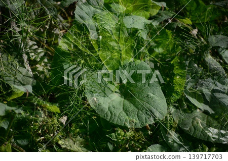 多次射擊 多次射擊 139717703