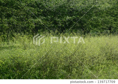 多次射擊 多次射擊 139717709