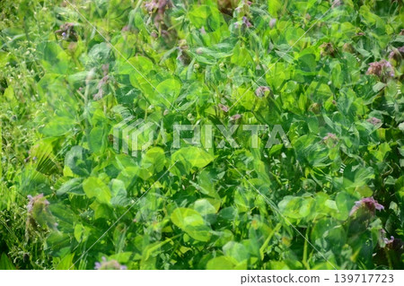 多次射擊 多次射擊 139717723