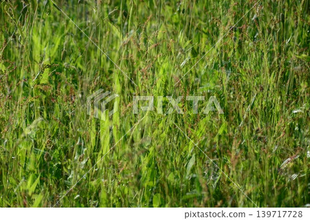 多次射擊 多次射擊 139717728