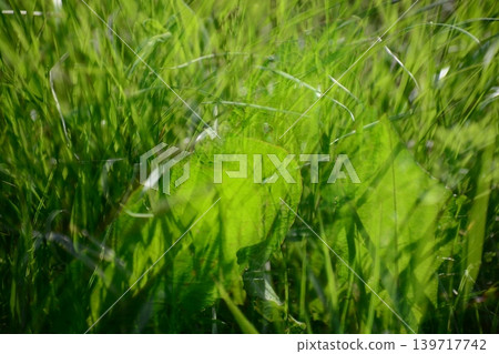 多次射擊 多次射擊 139717742