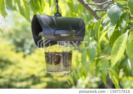Bee catching 139717818