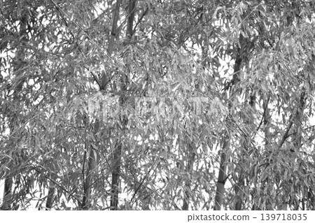 Black and white photos Black and white photos 139718035