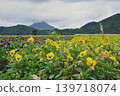 Spend the afternoon strolling around Lake Ikeda on your day off. 139718074