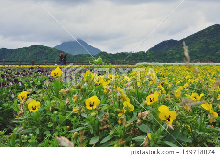Spend the afternoon strolling around Lake Ikeda on your day off. 139718074