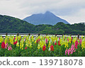 A relaxing spot at Lake Ikeda, with flowerbeds that reflect the four seasons and Mount Fuji. 139718078