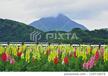 A relaxing spot at Lake Ikeda, with flowerbeds that reflect the four seasons and Mount Fuji. A relaxing spot at Lake Ikeda, with flowerbeds that reflect the four seasons and Mount Fuji. 139718078