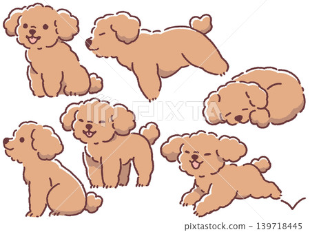 插畫素材：簡約可愛狗狗插畫套組 - 玩具貴賓犬姿勢合輯_豐富型② 139718445