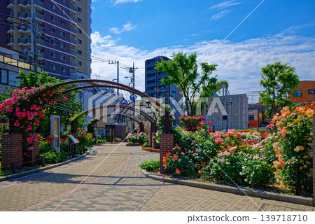 Colorful roses along the Toden streetcar line at Arakawa Amusement Park. Colorful roses along the Toden streetcar line at Arakawa Amusement Park. 139718710