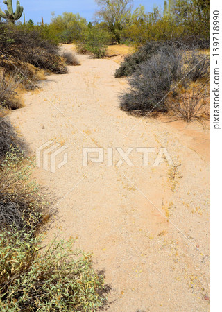 Arizona Desert Arroyo Arizona Desert Arroyo 139718990
