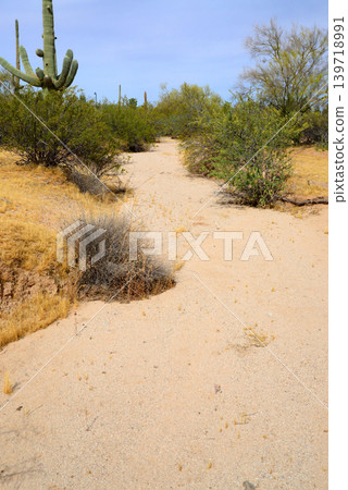 Arizona Desert Arroyo 139718991