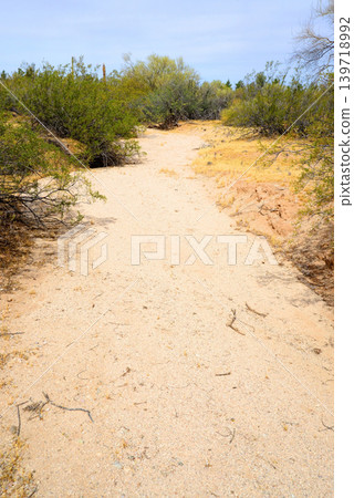 Arizona Desert Arroyo Arizona Desert Arroyo 139718992