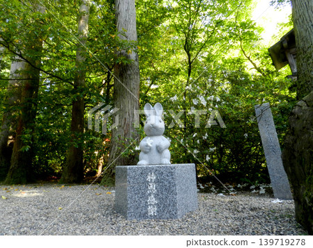在富山縣高瀨神社,兔子們表達了對神庇佑的感激之情。 在富山縣高瀨神社,兔子們表達了對神庇佑的感激之情。 139719278