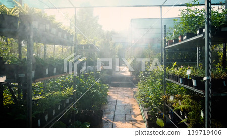 An automatic irrigation system at a garden center. Daily watering of seedlings in a greenhouse. An automatic irrigation system at a garden center. Daily watering of seedlings in a greenhouse. 139719406