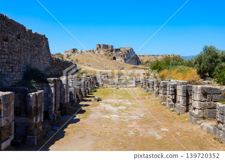 Miletus Archaeological Site near Didim city in Turkey Miletus Archaeological Site near Didim city in Turkey 139720352