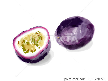 百香果的手繪插圖 百香果的手繪插圖 139720726