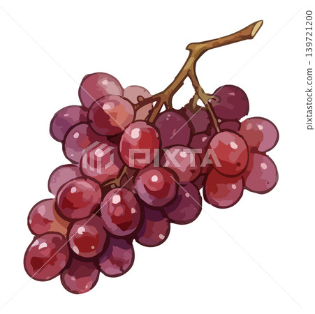 紅酒、白酒和氣泡酒的插圖 139721200