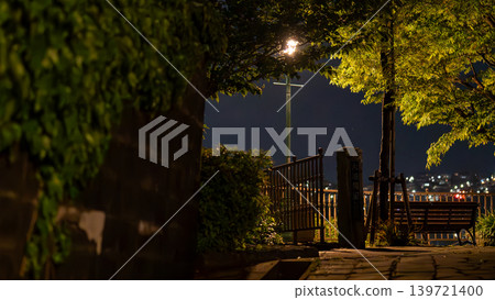從長崎縣格洛弗路看到的夜景 從長崎縣格洛弗路看到的夜景 139721400
