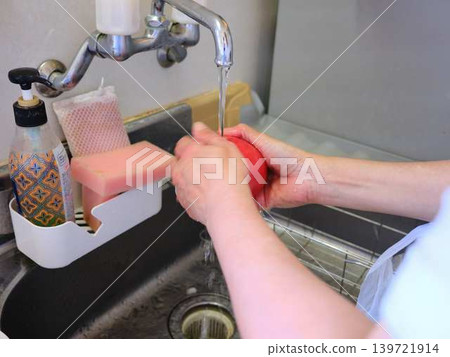 woman washing tomatoes woman washing tomatoes 139721914