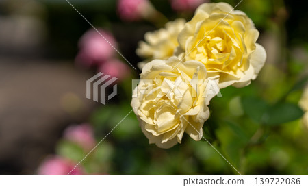 長崎格洛弗花園的景色 長崎格洛弗花園的景色 139722086