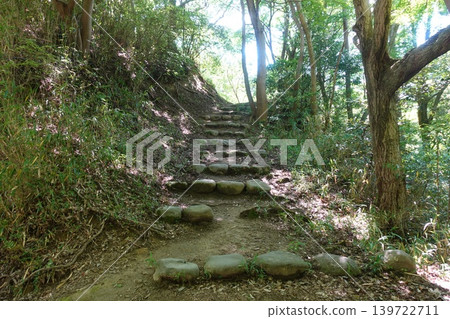 Stone steps leading to a mountain path surrounded by fresh greenery, and the scenery of the hiking trail. 139722711