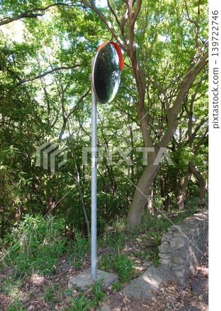 A photograph of a curved mirror and grove of trees on a mountain road surrounded by fresh greenery. A photograph of a curved mirror and grove of trees on a mountain road surrounded by fresh greenery. 139722746
