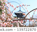 The five-story pagoda of Toji Temple in Kyoto, plum blossoms, and a blue sky. 139722870