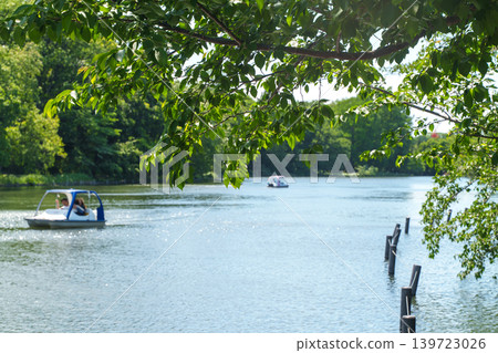 初夏的Shakujii公園 初夏的Shakujii公園 139723026