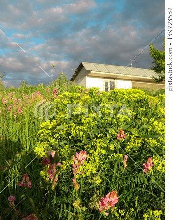 summer landscape with a house roof summer landscape with a house roof 139723532