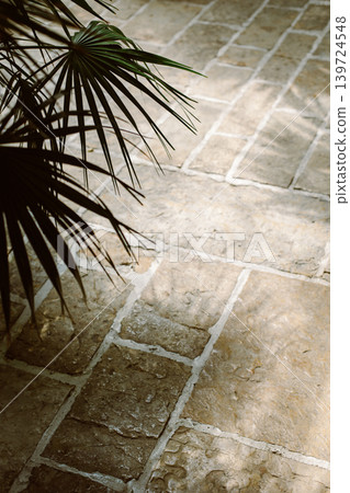 Stone Texture or Background in monochrome with palm leaves. Stone Texture or Background in monochrome with palm leaves. 139724548