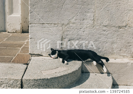 Cute black and white cat lying on a street in Italian old town. Cute black and white cat lying on a street in Italian old town. 139724585