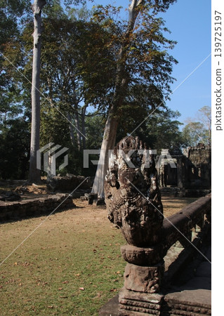 Terrace with Naga Terrace with Naga 139725197