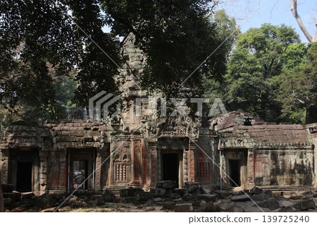 Ta Prohm Ta Prohm 139725240
