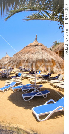 Tropical beach with thatched umbrellas and sun loungers under the bright sun 139725399