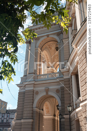 Vertical Facade of Ornate Historic Building Vertical Facade of Ornate Historic Building 139725463