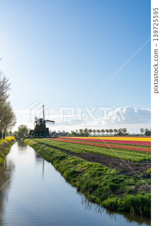 An beautiful windmill in The Netherlands An beautiful windmill in The Netherlands 139725595