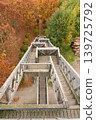 wooden stairs of a watchtower 139725792