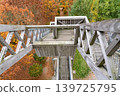 wooden stairs of a watchtower 139725795