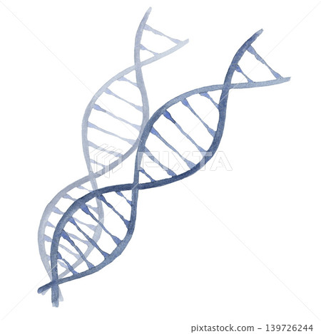 Watercolor DNA gene. Hand drawn illustration isolated on white background for design, logos, cards, business, medical articles, textbooks Watercolor DNA gene. Hand drawn illustration isolated on white background for design, logos, cards, business, medical articles, textbooks 139726244