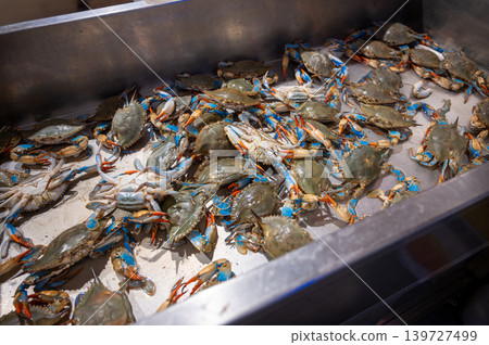 New york, usa august 18,2024. Fresh blue crabs piled in a stainless steel market display at a harlem, new york city seafood counter, ready for sale New york, usa august 18,2024. Fresh blue crabs piled in a stainless steel market display at a harlem, new york city seafood counter, ready for sale 139727499