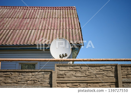 A white satellite dish is mounted below a weathered red corrugated roof on a house with white siding A white satellite dish is mounted below a weathered red corrugated roof on a house with white siding 139727550